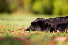 CO8K9422-ungeschnitte