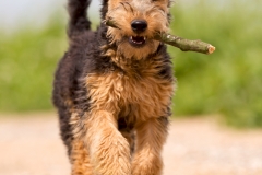 Wally-260613-299
