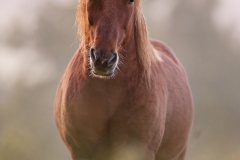 AW0O5524